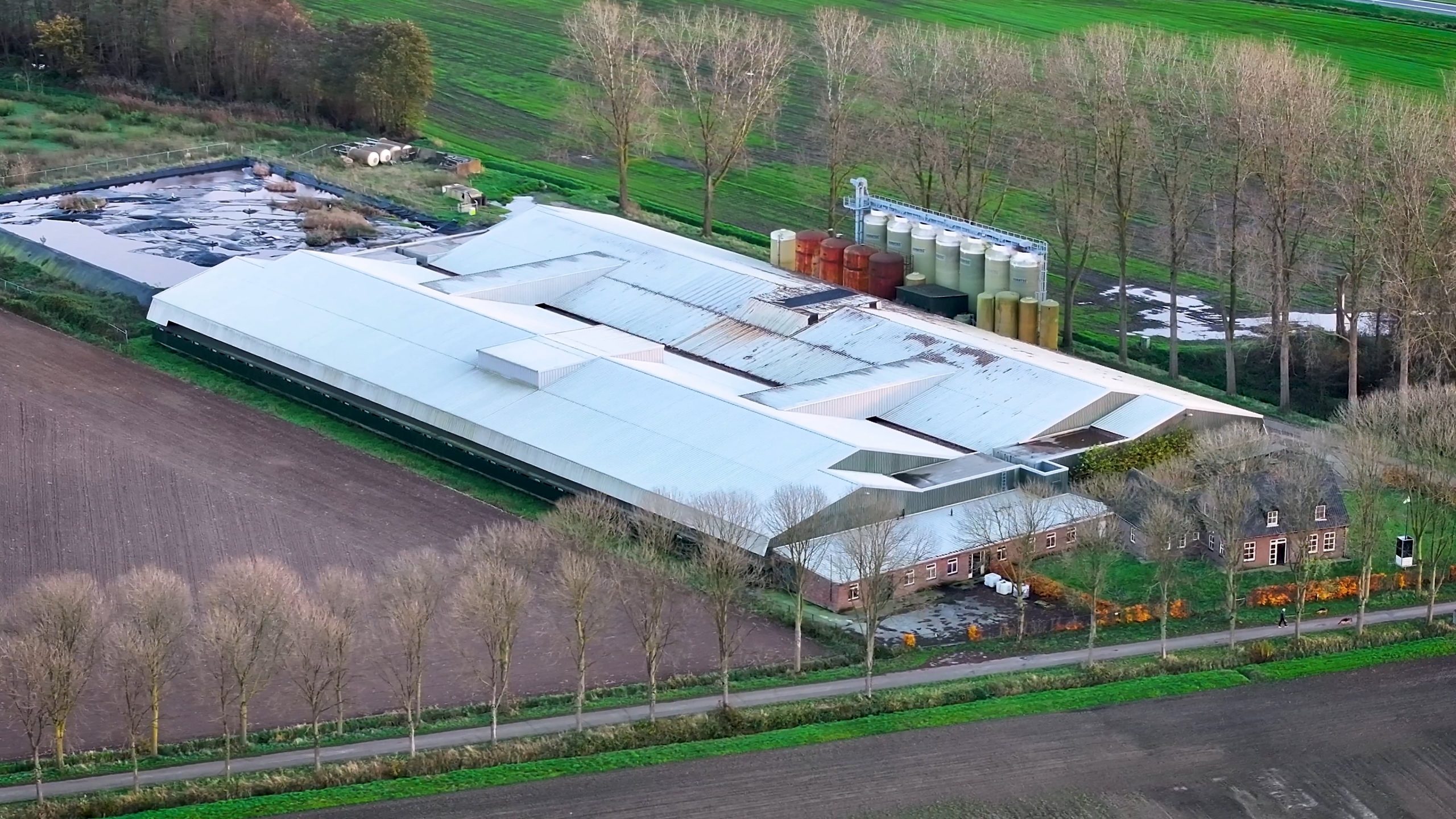 ANIMAL RIGHTS VERZOEKT OM INTREKKING VERGUNNING STRAATHOF VARKENSFABRIEK IN LIEROP