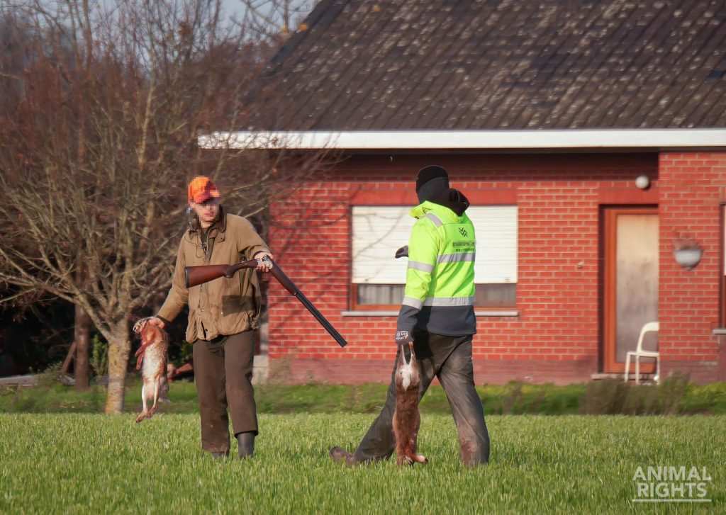 Twee jagers met elk een doodgeschoten haas in hun hand