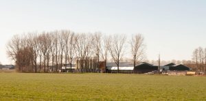 Een van de stallencomplexen van Straathof, vanaf een afstand gefotografeerd