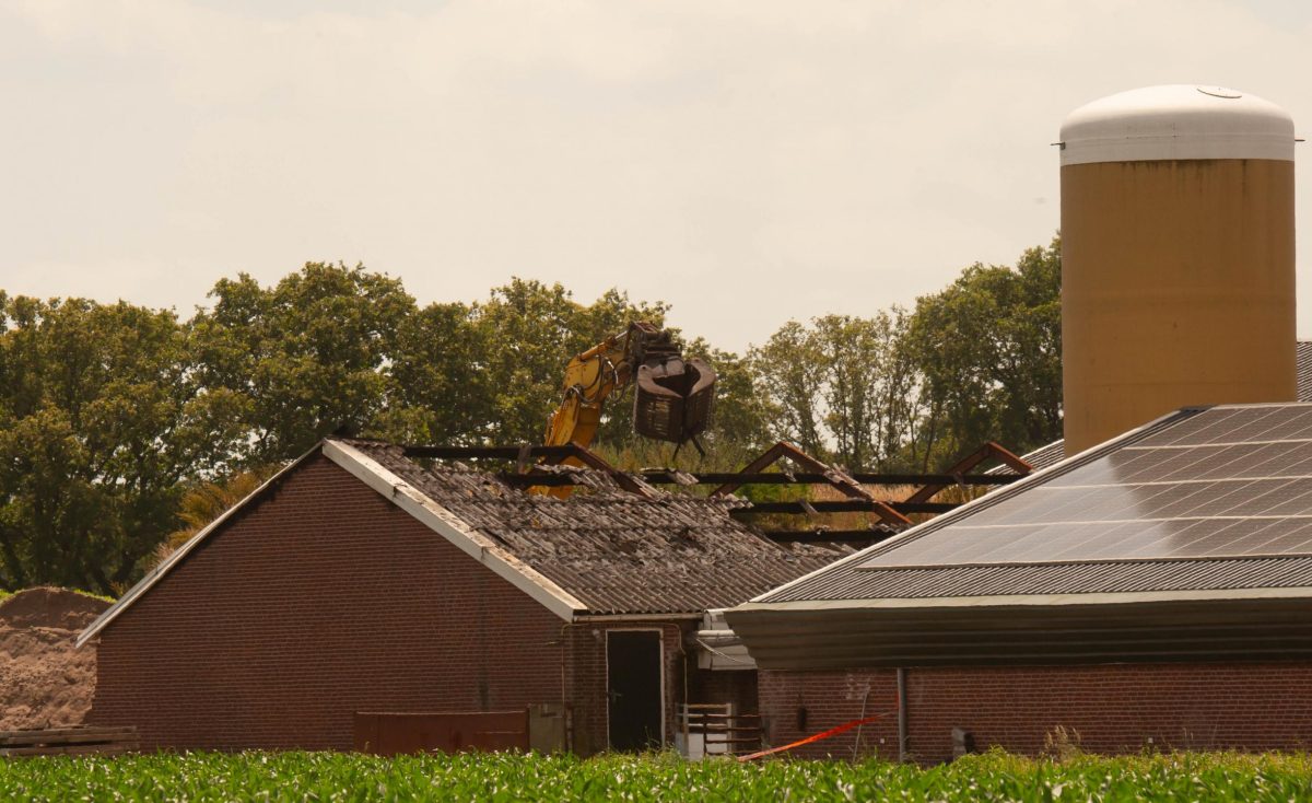 Ook in 2024 tienduizenden stalbrandslachtoffers zonder zicht op maatregelen