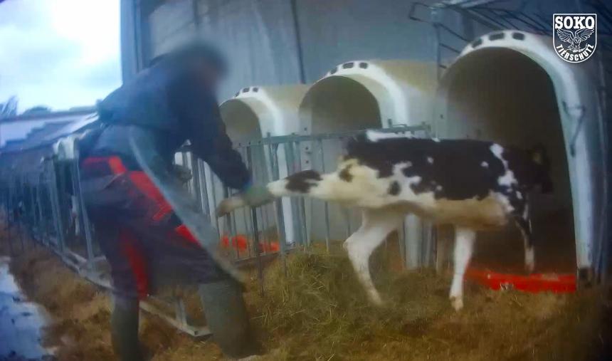 Vache Bleue ook bij LIDL in de rekken onder merk Milbona