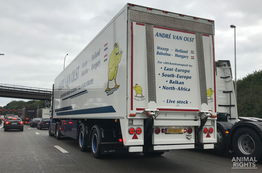 De kapitalistische slavenhandel in levende dieren