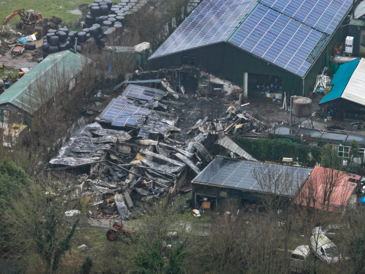 Stalbranden Nederland 2025