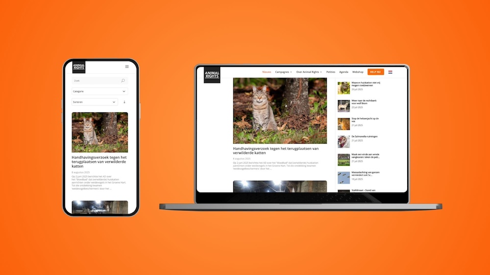 Copy of AUI Hub – 3