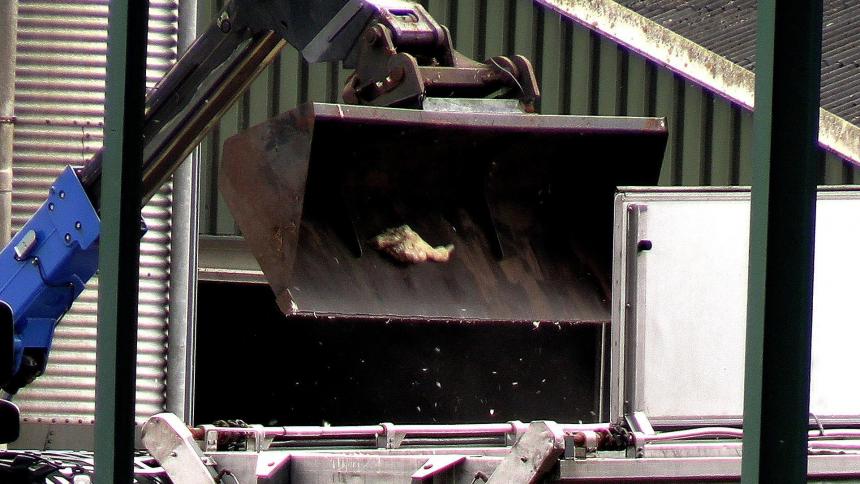 INMIDDELS DRIE MILJOEN VOGELS ‘GERUIMD’ OP COMMERCIËLE BEDRIJVEN