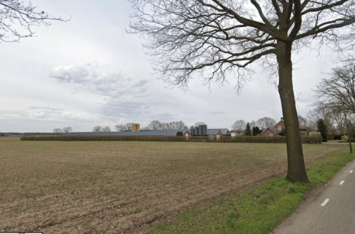 De stallen van een boerderij in Melderslo waar 600 varkens stikten, gezien vanaf de openbare weg