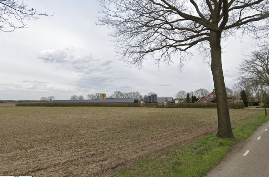 600 varkens stikten in Melderslo, NVWA weigert inzage in onderzoek en OM seponeert de zaak