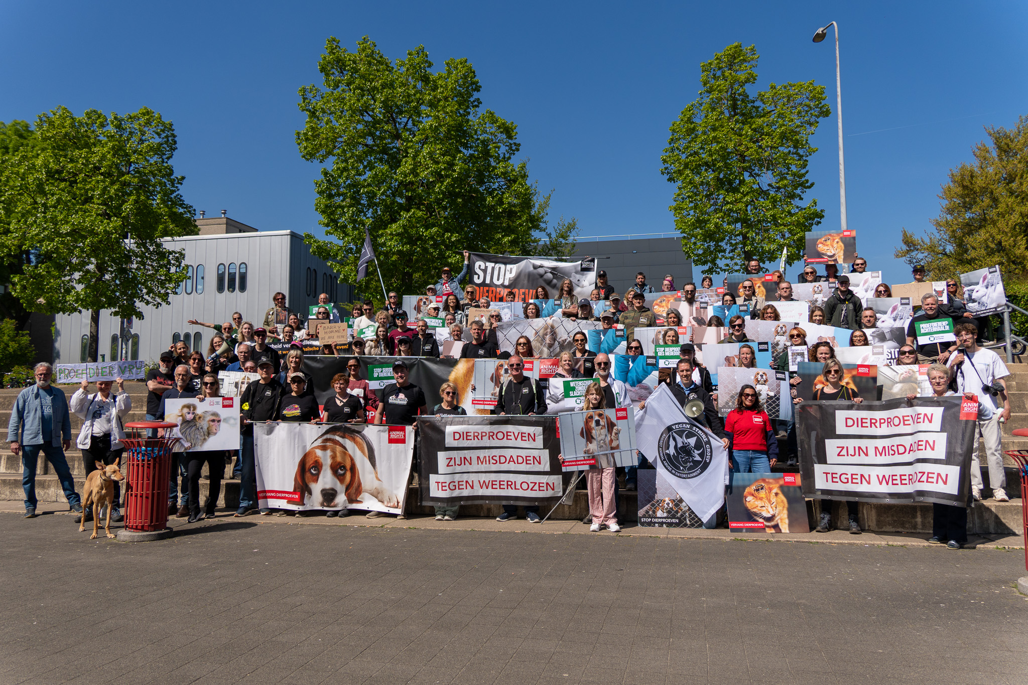 Protestmars Maastricht 2026