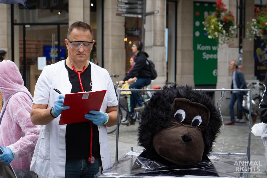 OP STRAAT TEGEN APENEXPERIMENTEN KU LEUVEN