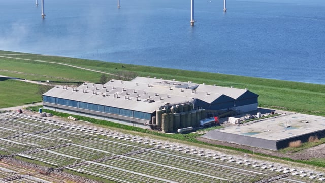 Winst! Vergunningen Straathof varkensflat in Creil mochten ingetrokken worden