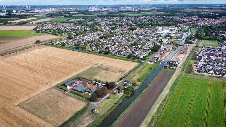 Vijf stieren komen om bij stalbrand in Zevenbergen